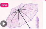 Alpona Lavender Transparent Umbrella